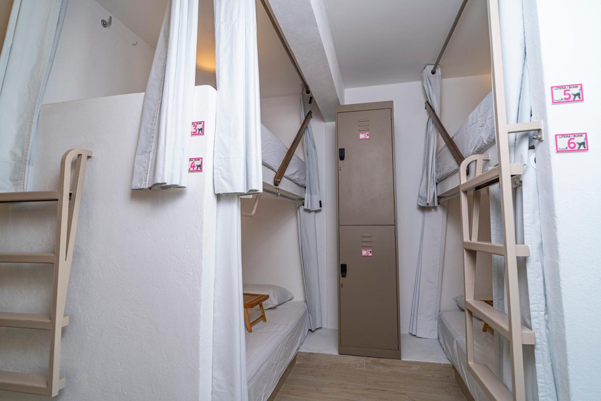 קנקון Digital Nomads Hotel & Coliving מראה חיצוני תמונה